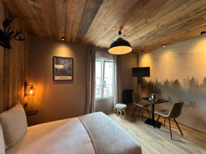 Studio façon chalet montagnard - Hyper centre